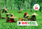 Tea Board Job Circular 2025