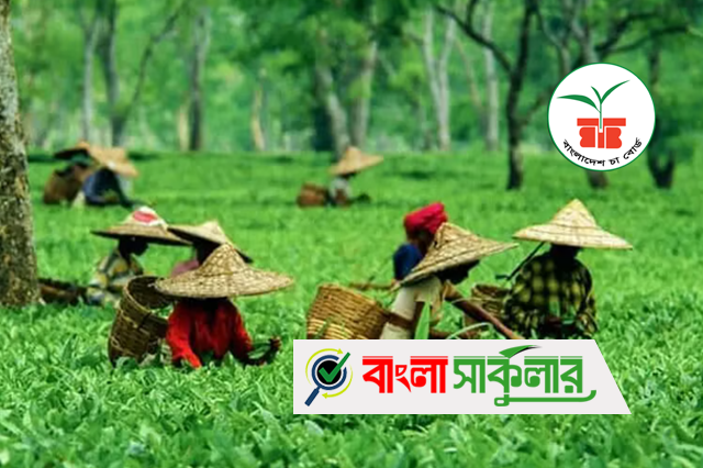 Tea Board Job Circular 2025