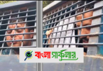 প্রাথমিক শিক্ষকদের আন্দোলন