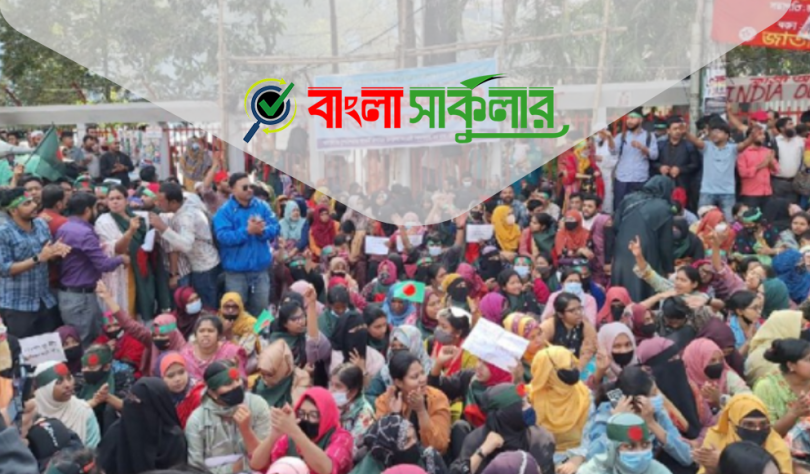 ৬৫৩১ শিক্ষকের দ্রুত যোগদানের ব্যবস্থা না করলে কঠোর আন্দোলনের হুঁশিয়ারি